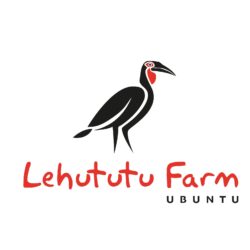 LEHUTUTU   FARM